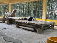 -杭州野生动物世界
