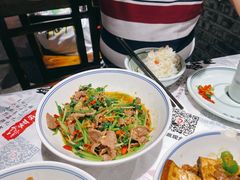 香菜炒牛肉-壹盏灯(蚂蚁工房店)