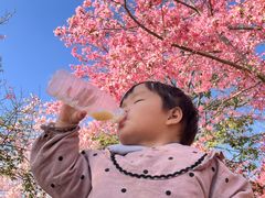 -风云岭森林公园