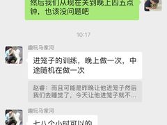 -趣玩宠物乐园寄养训犬训狗游泳池