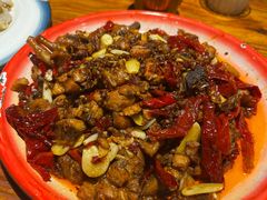 -柴窝堡22号辣子鸡·传承新疆菜