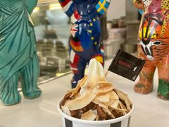 -JW德国冻酸奶Frozen Yogurt(龙湖成都滨江天街店)