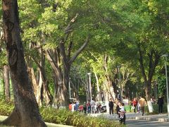 -东莞植物园