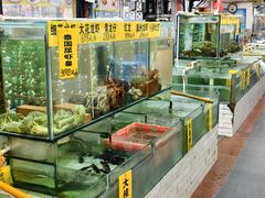 -寻味顺德·南记酒家·传统顺德菜·鱼生(广源路店)