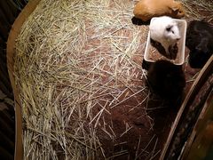 -藦茜花园宠物主题亲子互动体验馆(国顺东路店)