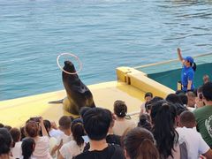 -秦皇岛乐岛海洋王国