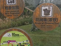 -桤木河湿地公园