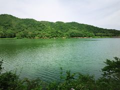 -玉渡山自然风景区