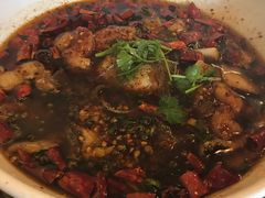 沸腾鱼-宽窄巷子(米兰中央火车站店)
