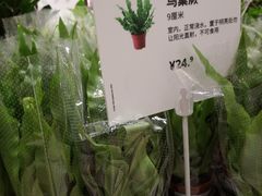 -IKEA宜家家居(南京商场)