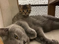 -么么咖啡(燕郊店)