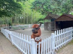 -天目湖涵田度假村
