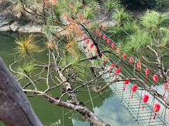 -九鲤湖风景区