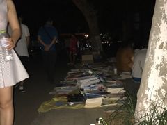 -山东农业大学(岱宗校区)