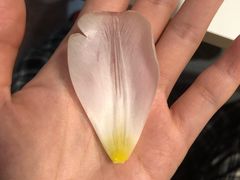 -三旗百汇商品城