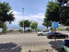 -野菌皇海景野生菌火锅(滨海大道店)