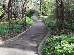 -墨尔本皇家植物园