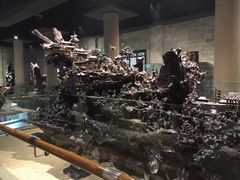 -乐山乌木文化博览苑