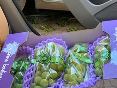 -上海龙吴水胜海发市场