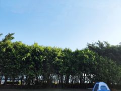 -深圳湾公园(南山区)