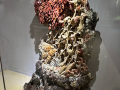 -东方山水乐园山之王国(全室内)