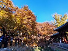 -颐和园