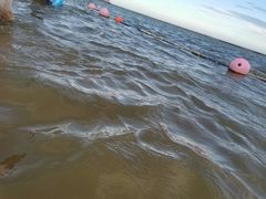 -碧海金沙