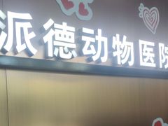 -pd派德宠物中心医院24H急重症·眼科中心·血液透析中心(嵩山北路店)