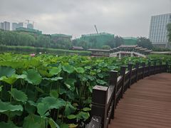 -西海子公园
