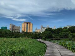 -澳门喜来登大酒店