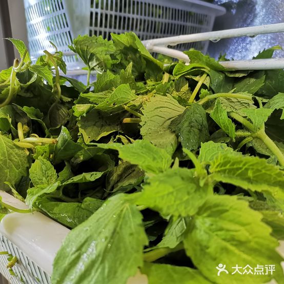 唐记牛杂野菜馆