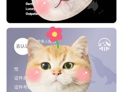 -弘医堂中医院