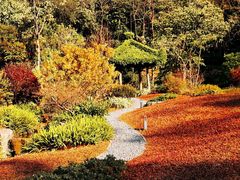 -云溪植物园
