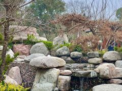 -思念果岭悦温泉