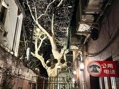 -古董花园(思南路42弄小区店)