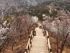 -大岭沟猕猴桃谷风景区