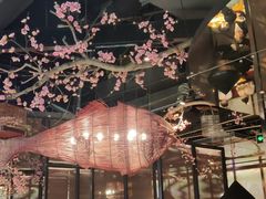 -老板恋上鱼(高新万达店)