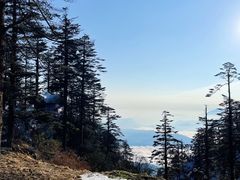 -瓦屋山景区