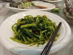 -姚林轩