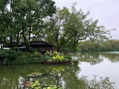 -西湖游船