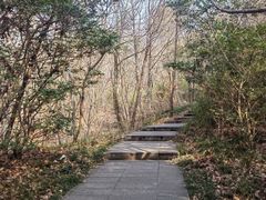 -句容茅山景区