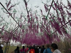 -塔元庄景区