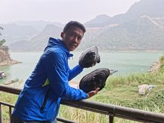 -八仔大富楼·河鲜(西江店)