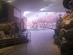 -陕西自然博物馆