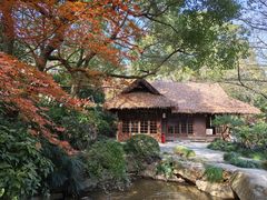 -中国茶叶博物馆(双峰馆区)