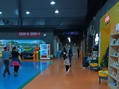 -巴克创奇梦工厂