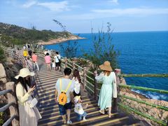 -广东惠东海龟国家级自然保护区