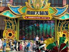 -西双版纳原始森林公园