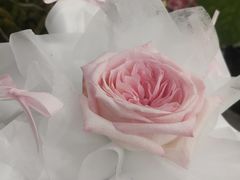 -Flower in(密渡桥店)