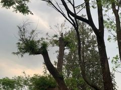 -崇圣寺三塔文化旅游区